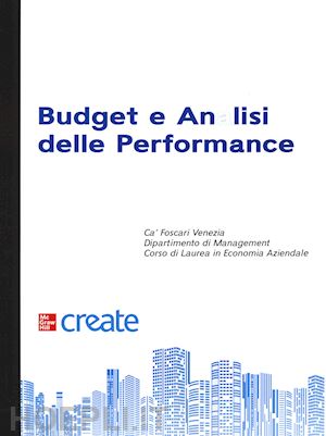 aa.vv. - budget e analisi delle performance