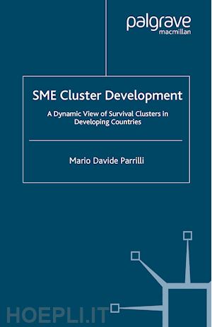 parrilli m. - sme cluster development