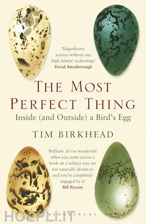 birkhead - the most perfect thing