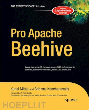 kanchanavally srinivas; mittal kunal - pro apache beehive