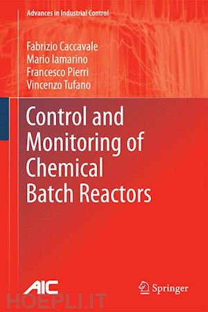 caccavale fabrizio; iamarino mario; pierri francesco; tufano vincenzo - control and monitoring of chemical batch reactors