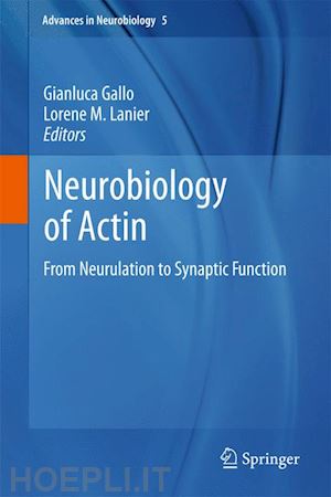 gallo gianluca (curatore); lanier lorene m (curatore) - neurobiology of actin