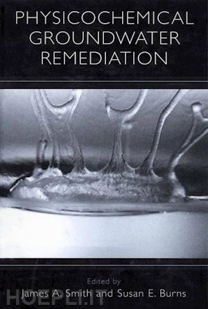 smith james a. (curatore); burns susan e. (curatore) - physicochemical groundwater remediation