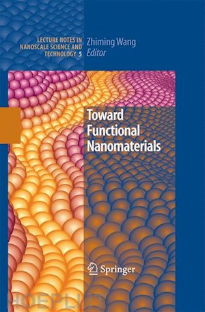 wang zhiming m (curatore) - toward functional nanomaterials