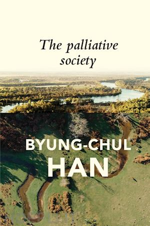 han b - the palliative society – pain today