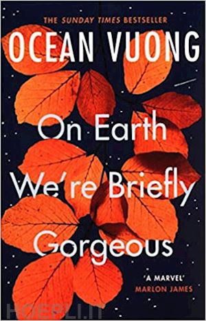 vuong ocean - on earth we're briefly gorgeous