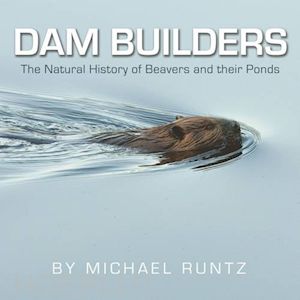 runtz michael - dam builders