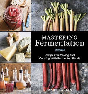 karlin mary - mastering fermentation