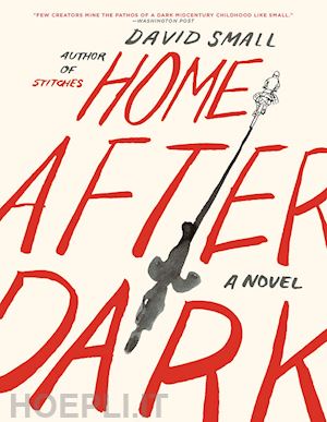 small david - home after dark – a novel