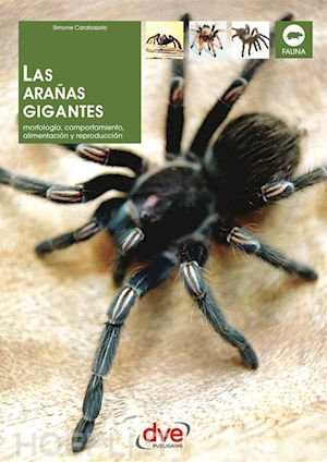 simone caratozzolo - las arañas gigantes