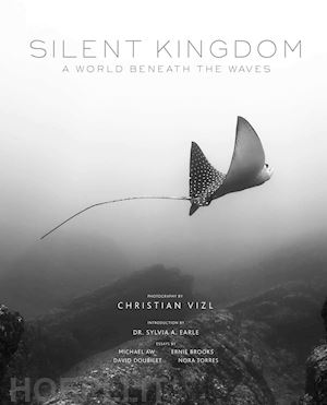 vizl christian - silent kingdom