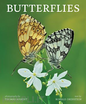 orenstein ronald - butterflies