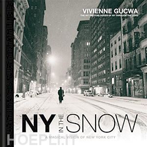 gucwa vivienne - new york in the snow