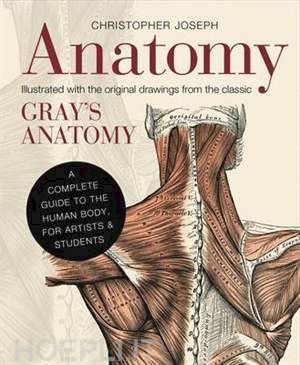 joseph christopher - anatomy. illustrated with the original drawings from the classic gray's anatomy