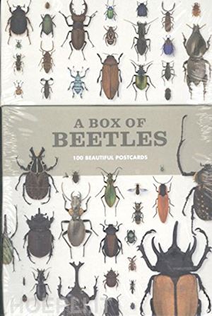 patrice bouchard - a box of beetles