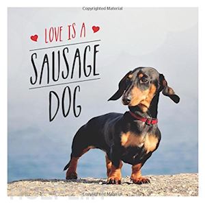 elllis charlie - love is a sausage dog