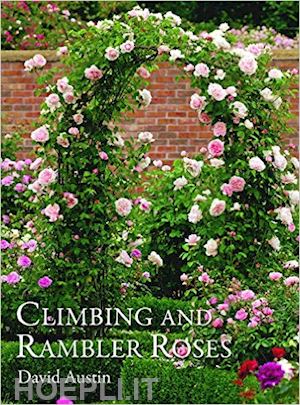 austin david - climbing and rambler roses