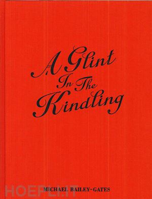 bailey-gates michael - a glint in the kindling