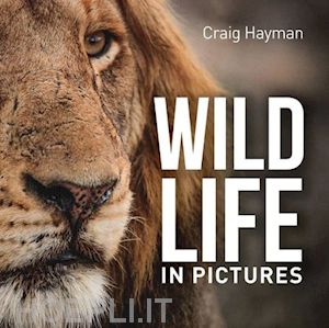 hayman craig - wild life in pictures