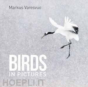 varesvuo markus - birds in pictures