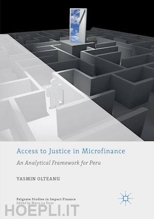 olteanu yasmin - access to justice in microfinance