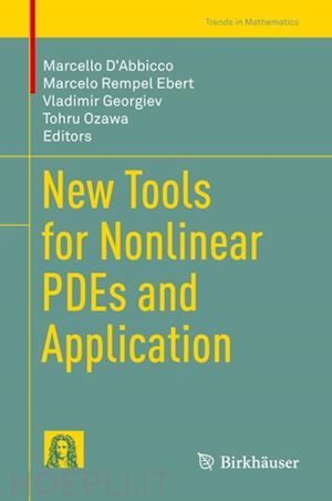 d'abbicco marcello (curatore); ebert marcelo rempel (curatore); georgiev vladimir (curatore); ozawa tohru (curatore) - new tools for nonlinear pdes and application