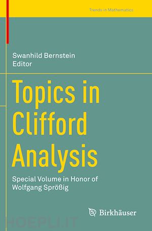 bernstein swanhild (curatore) - topics in clifford analysis