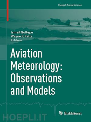 gultepe ismail (curatore); feltz wayne f. (curatore) - aviation meteorology: observations and models