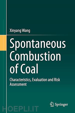 wang xinyang - spontaneous combustion of coal