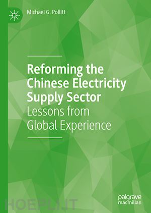 pollitt michael g. - reforming the chinese electricity supply sector