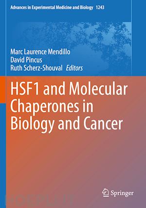 mendillo marc laurence (curatore); pincus david (curatore); scherz-shouval ruth (curatore) - hsf1 and molecular chaperones in biology and cancer