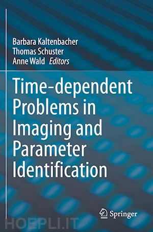 kaltenbacher barbara (curatore); schuster thomas (curatore); wald anne (curatore) - time-dependent problems in imaging and parameter identification