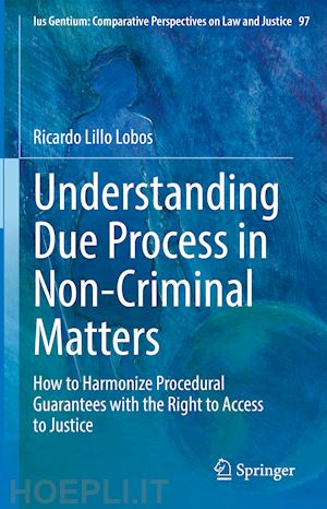 lillo lobos ricardo - understanding due process in non-criminal matters
