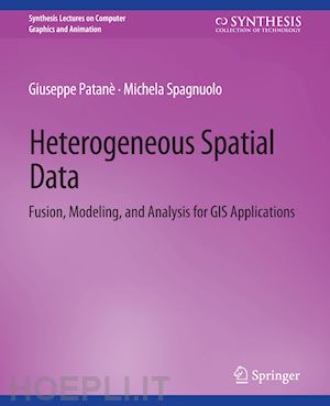 patanè giuseppe; spagnuolo michela - heterogeneous spatial data