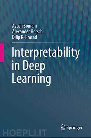 somani ayush; horsch alexander; prasad dilip k. - interpretability in deep learning