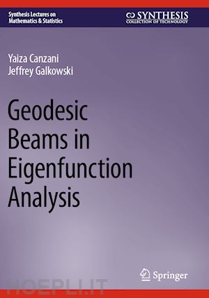 canzani yaiza; galkowski jeffrey - geodesic beams in eigenfunction analysis