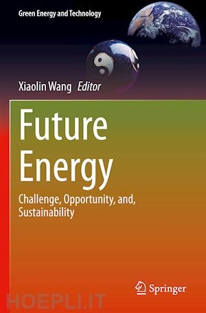 wang xiaolin (curatore) - future energy