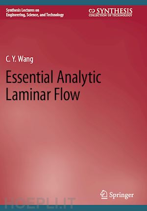 wang c.y. - essential analytic laminar flow