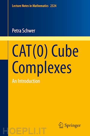 schwer petra - cat(0) cube complexes
