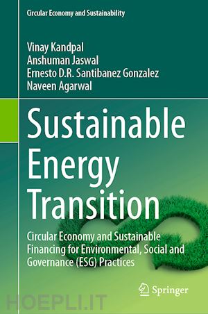 kandpal vinay; jaswal anshuman; santibanez gonzalez ernesto d.r.; agarwal naveen - sustainable energy transition