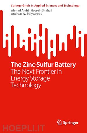 amiri ahmad; shahali hossein; polycarpou andreas a. - the zinc–sulfur battery