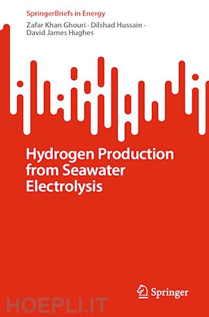 ghouri zafar khan; hussain dilshad; hughes david james - hydrogen production from seawater electrolysis