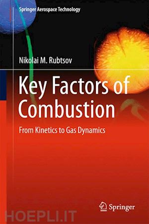rubtsov nikolai m. - key factors of combustion