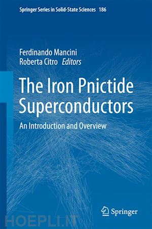 mancini ferdinando (curatore); citro roberta (curatore) - the iron pnictide superconductors