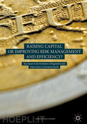 colombini fabiano (curatore) - raising capital or improving risk management and efficiency?