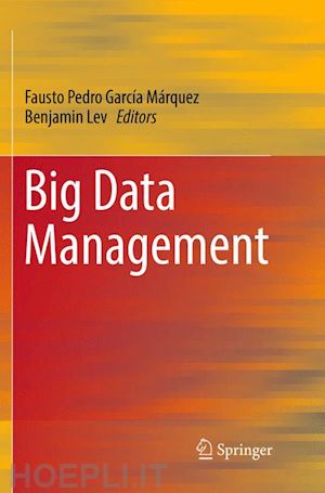 garcía márquez fausto pedro (curatore); lev benjamin (curatore) - big data management