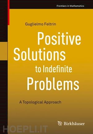 feltrin guglielmo - positive solutions to indefinite problems