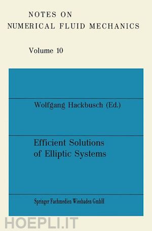hackbusch wolfgang - efficient solutions of elliptic systems