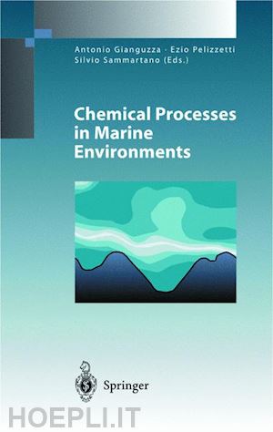 gianguzza antonio (curatore); pelizzetti ezio (curatore); sammartano silvio (curatore) - chemical processes in marine environments