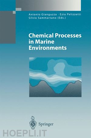 gianguzza antonio (curatore); pelizzetti ezio (curatore); sammartano silvio (curatore) - chemical processes in marine environments